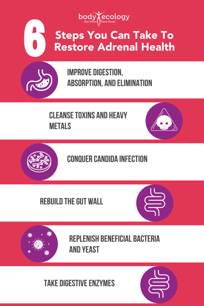 how to restore your digestive enzymes