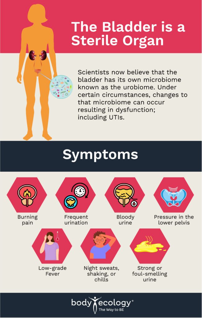 bladder microbiome