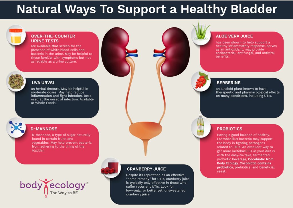 healthy bladder